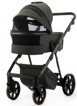 Детская коляска Adamex Delta Natura 3 в 1 DN-12-FOREST
