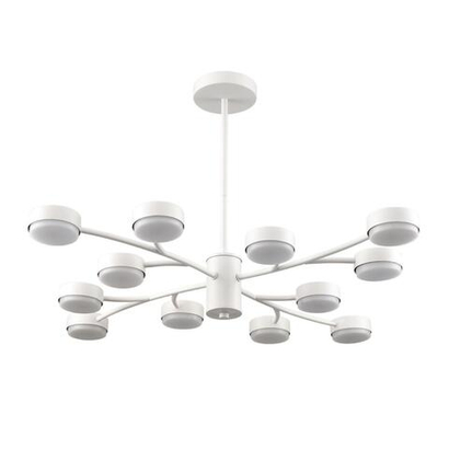 Подвесная люстра Lumion TORINA 8265/12