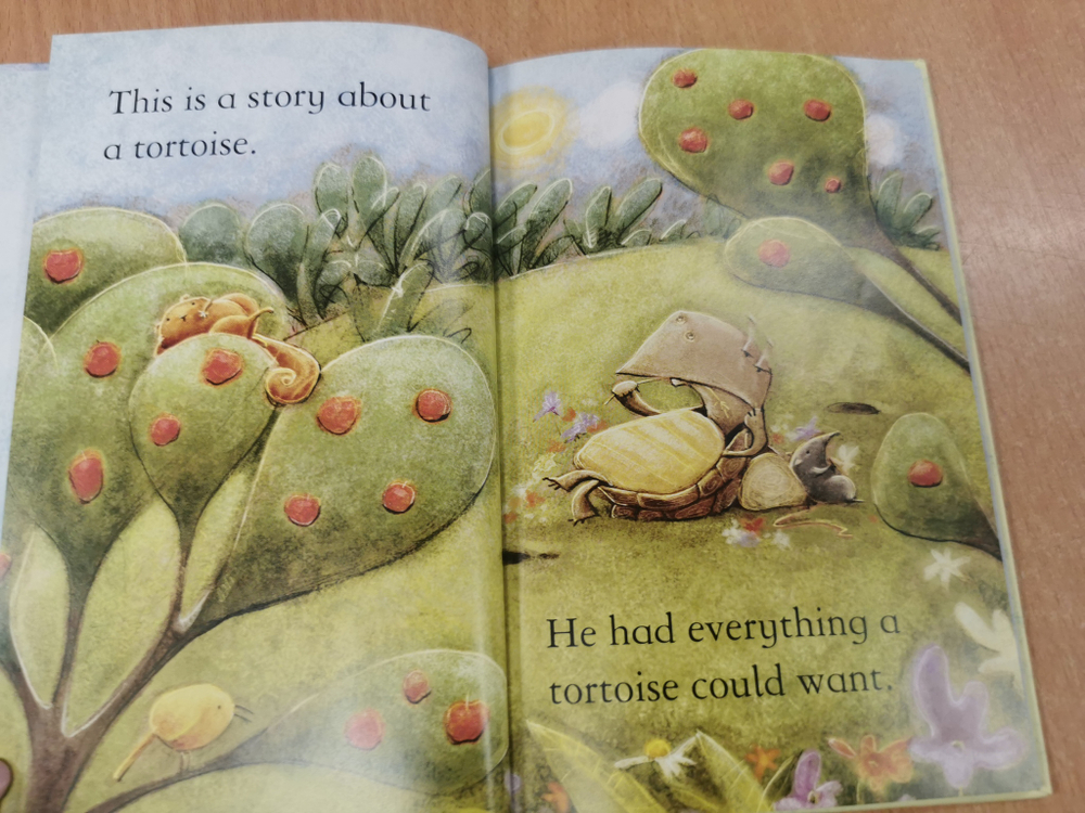 Tortoise and the Eagle