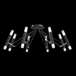 Потолочная люстра Maytoni VIGO MOD620CL-16B