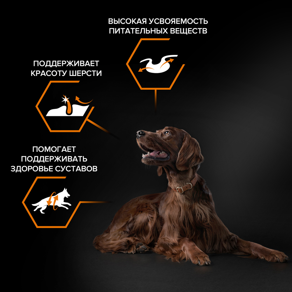 Сухой корм PRO PLAN EVERYDAY NUTRITION для взрослых собак крупных пород с атлетическим телосложением курица 14 кг