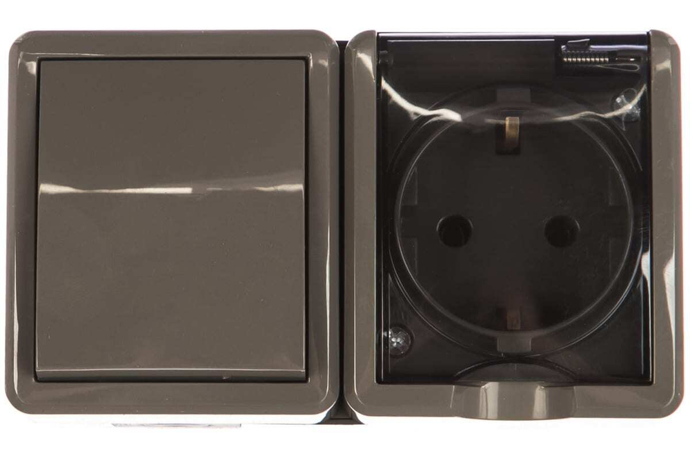 Блок розетка+выключатель IP54, 16A(10AX)-250В, серый Эксперт ЭРА