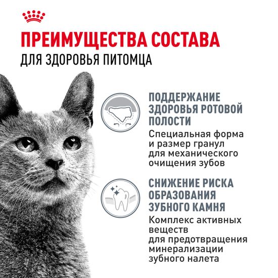Royal Canin Dental Care корм для взрослых кошек и котов, обеспечивающий гигиену полости рта и снижающий зубной налет