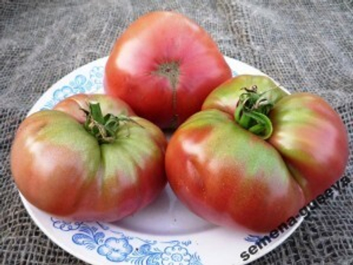 Помидоры Black Krim