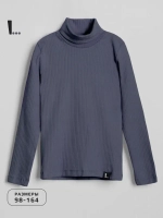 Водолазка для мальчика на осень школьная