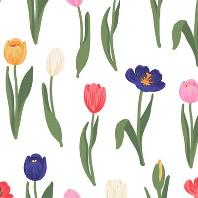 Разноцветные тюльпаны