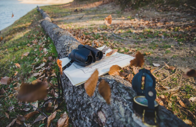 Сезонные особенности охоты на водоплавающую дичь: календарь охотника и тактика