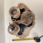 Набор из окаменелого дерева 4 предм Fossil Set NF-63281 поднос 149