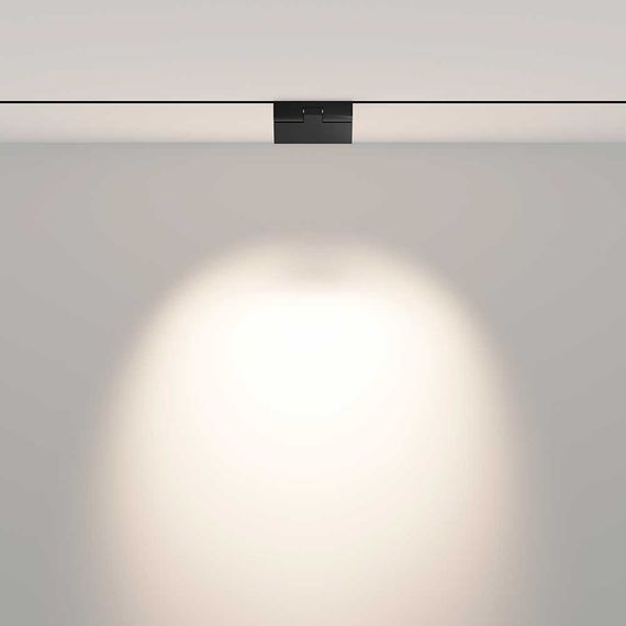 Трековый светодиодный светильник Maytoni Technical Points rot TR033-2-6W4K-B