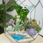 Готовый флорариум с суккулентами Цефей с озером