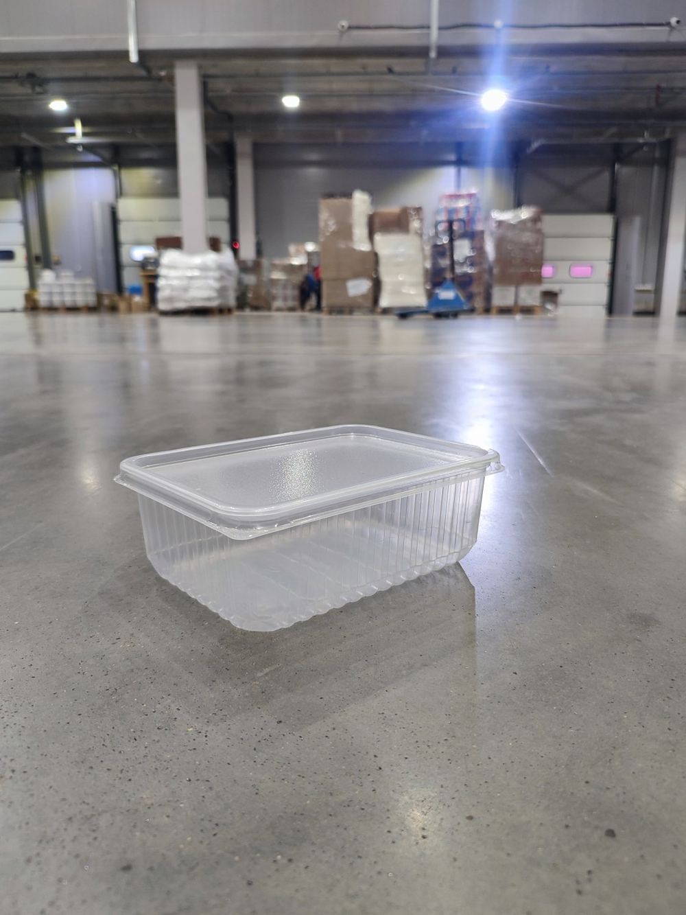 Контейнер одноразовый 179х132 1000 г с крышкой