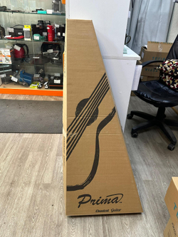 Классическая струнная гитара Fina Guitars FC-603