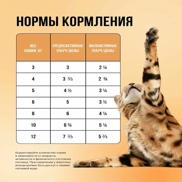 Пауч BOWL WOW для кошек с чувствительным пищеварением с цыпленком и овощами, кусочки в соусе