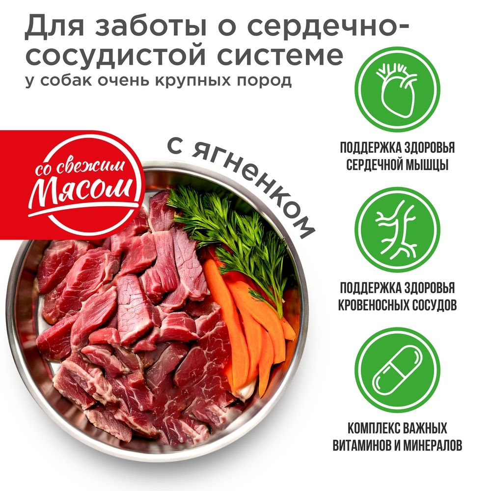 Корм сухой для взрослых собак очень крупных пород, премиум полнорационный комплекс, для сердечно-сосудистой системы, с ягненком, 12 кг, QUATTRO