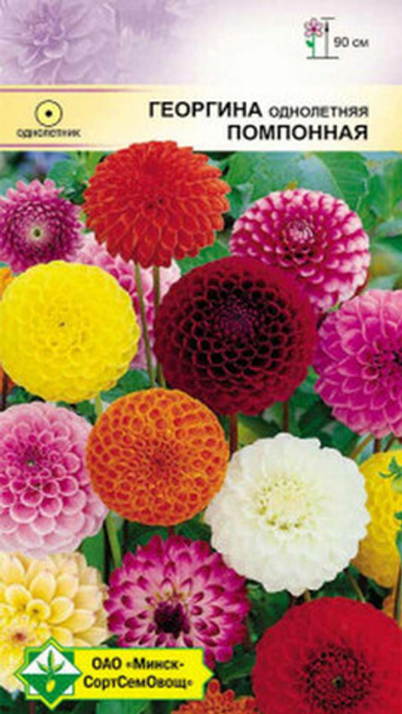 Георгина "Помпонная" 0.3г., Германия.