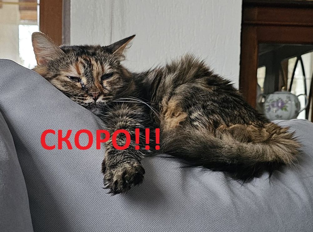 &quot;Ключик&quot; для фиксации цепочки к держателю грузика и подпаску (1шт)
