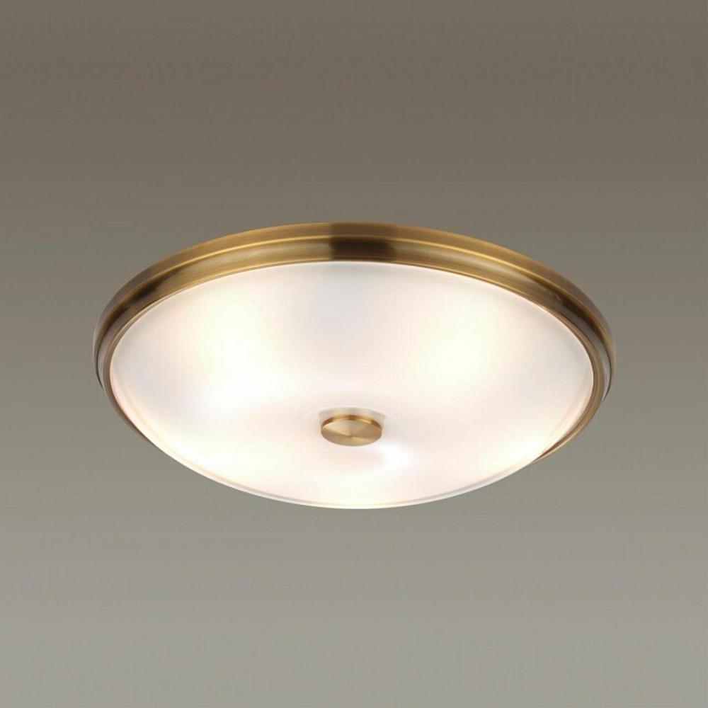 Накладной светильник Odeon Light 4956/5