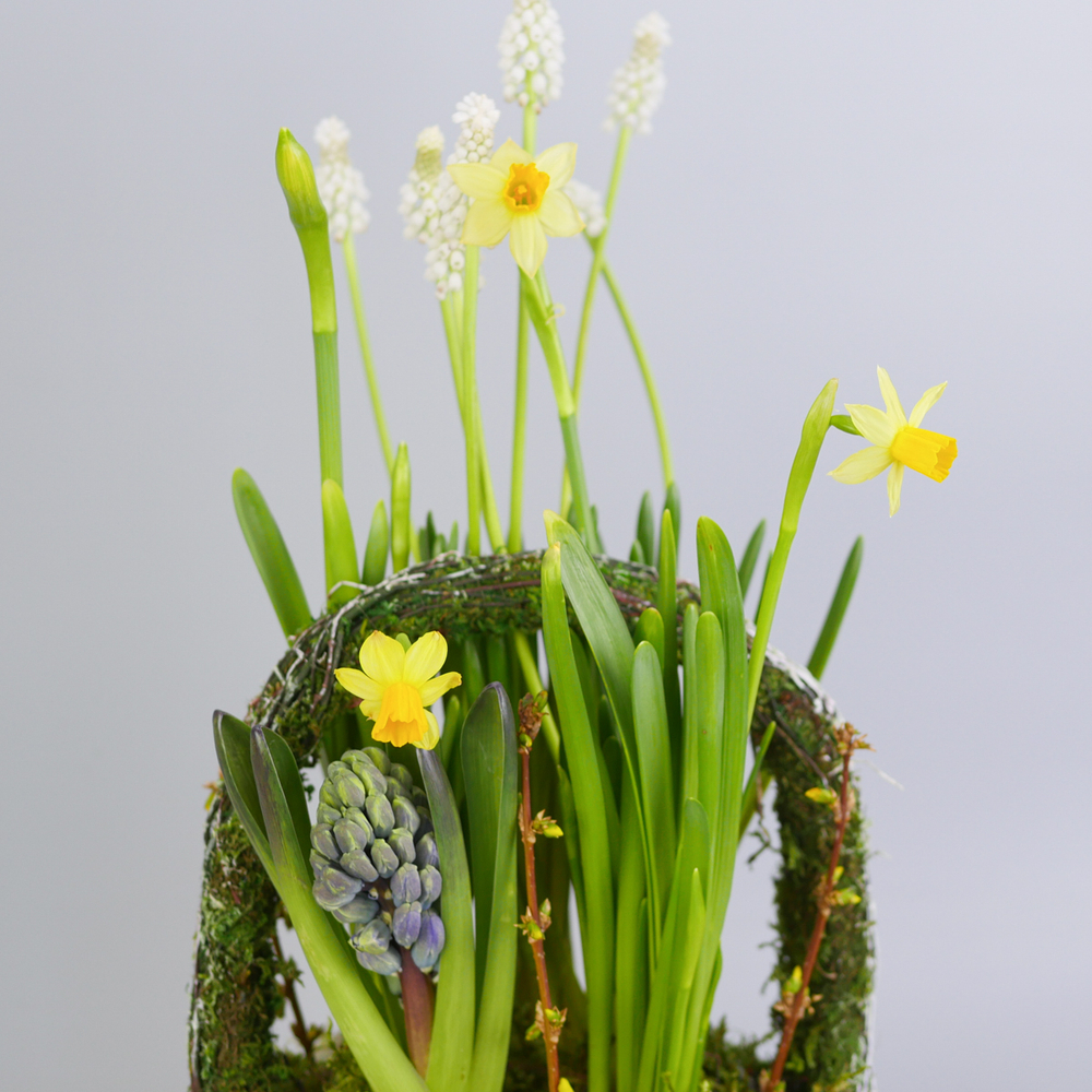 Композиция с первоцветами Лесная корзина M