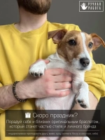 Браслет мужской из натуральных камней