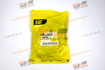 Ремкомплект Seal KIT 2402482 для Caterpillar
