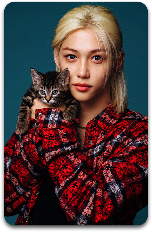 Карта / STRAY KIDS #3416