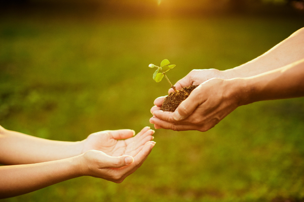 Только натуральные ингредиенты! Только натуральные ингредиенты!