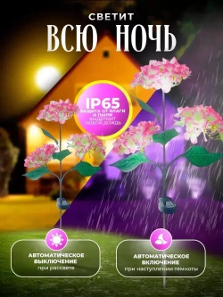 Гортензия на солнечной батареи