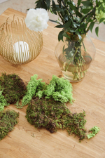 Стол журнальный 100х100х45, Детлиф, с металлическим подстольем, в стиле лофт, массив дуба, Dipriz