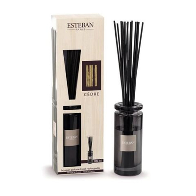 Esteban Paris Cedre Ароматический диффузор с палочками