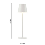 Аккумуляторный светильник F-Promo Pyari 4614-1T