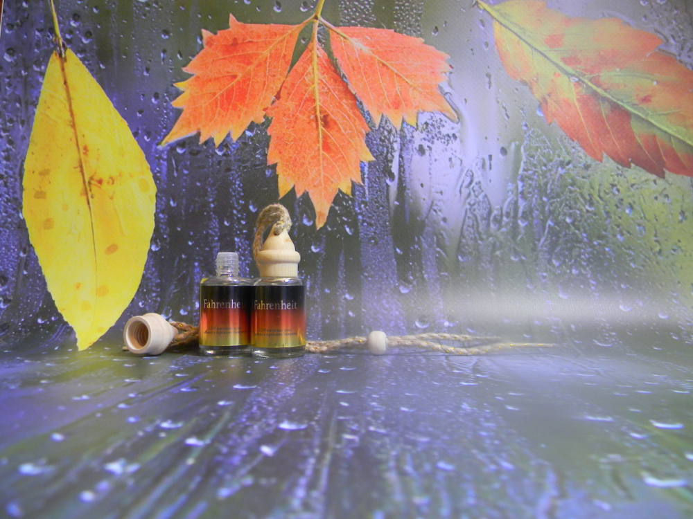 Автопарфюм Fahrenheit 12 ml