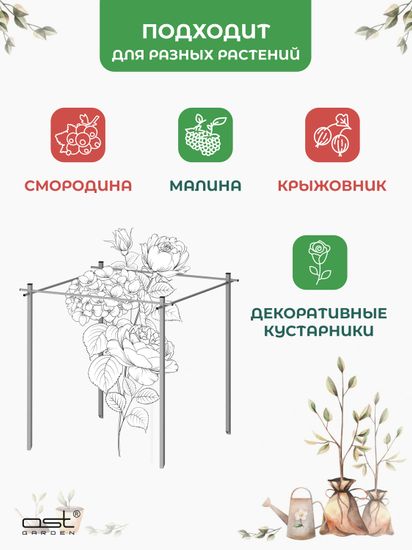 Кустодержатель