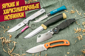 Новинки августа.