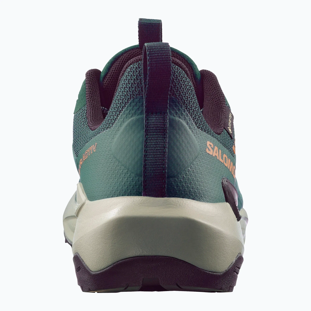 Ботинки Salomon Elixir Activ GTX scarab/green gable