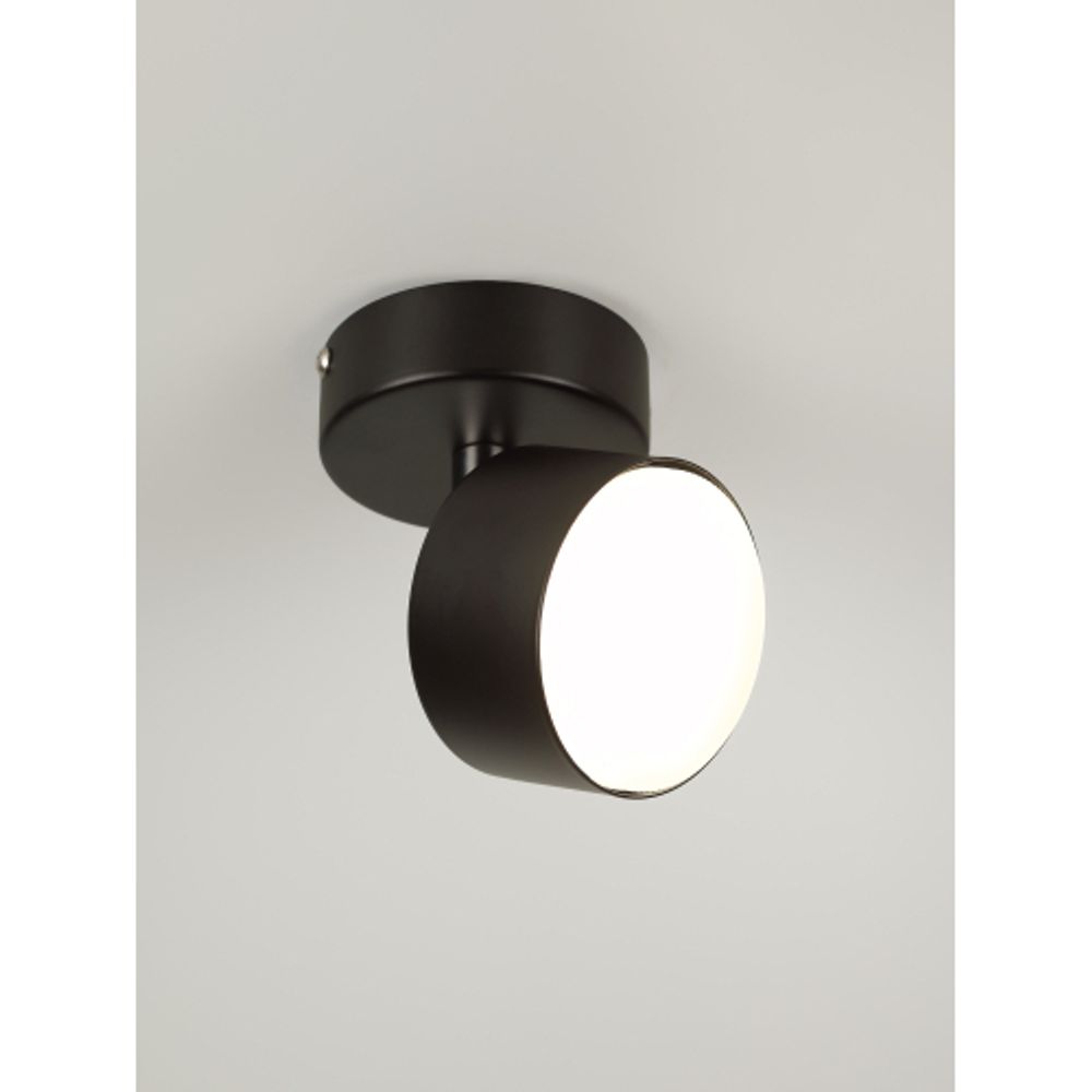 Светильник настенно-потолочный спот Rivoli Alesta 7079-701 1хGX53 15 Вт поворотный | Rivoli