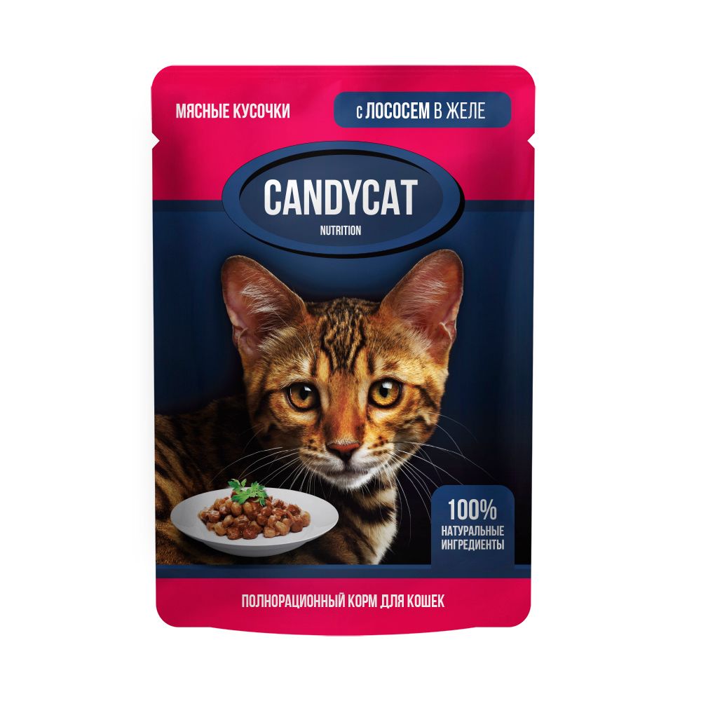 Консервы для кошек CANDYCAT с лососем в желе 85 г