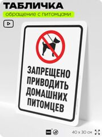 Табличка "Запрещено приводить домашних питомцев" на дверь и забор, для двора, дома, подъезда, 40х30 см, Silver Plane x Айдентика Технолоджи