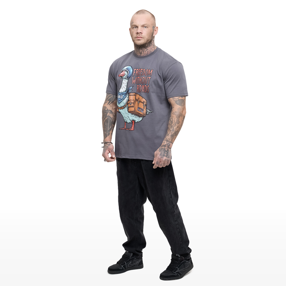 Футболка CLAN13 GOOSE, серый