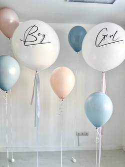 Воздушные шары на Гендер Пати / определение пола ребенка №3089