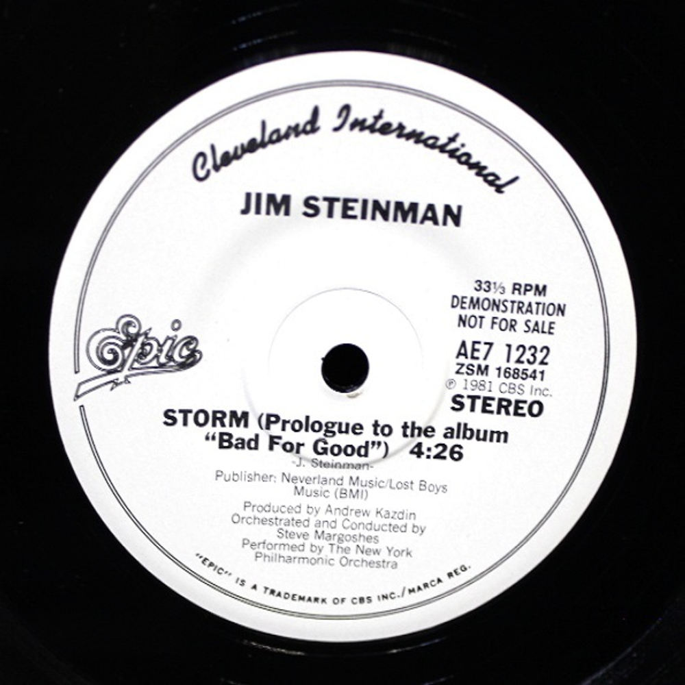 Jim Steinman / Bad For Good (LP+7" Vinyl Single)