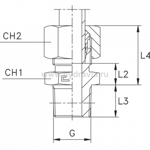 Штуцер FC DS16 BSP 1/2" (в сборе) нерж.