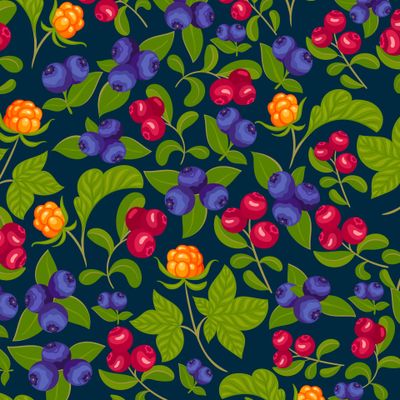 Карельские ягоды на темно-синем фоне (Дизайнер Irina Skaska)