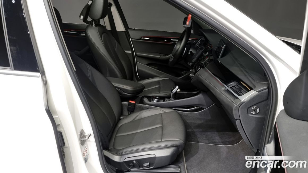 BMW X1 (F48) xDrive 20i xLine (10.2021)
