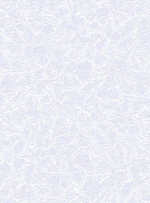 Бруно - 11 белая