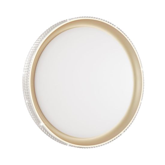 3054/DL PALE SN 000 Светильник пластик/белый/золотистый LED 48Вт 3000-6300K D395 IP43 пульт ДУ SHINY