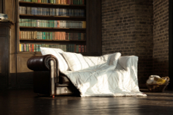 Одеяло теплое 200х220 German Grass Woolline Camel Wool