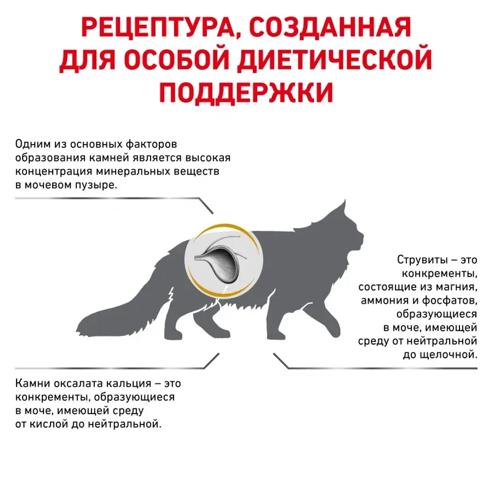 Royal Canin корм сухой для взрослых кошек при мочекаменной болезни