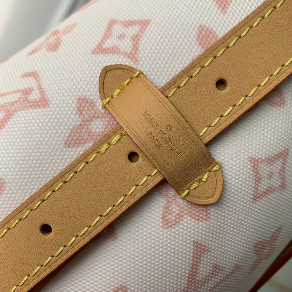 Louis Vuitton CarryAll PM