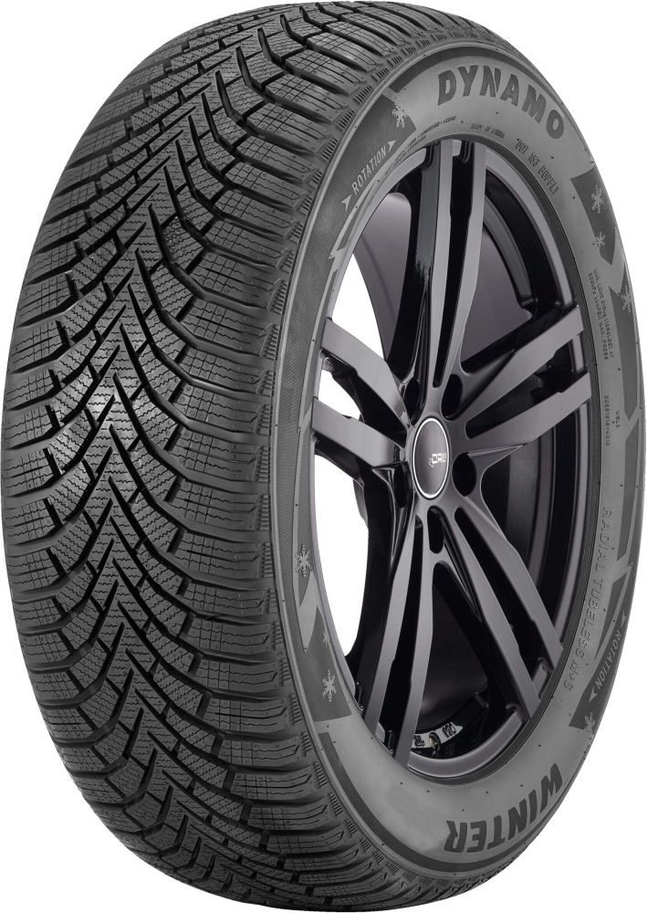 Dynamo Winter 205/50 R17 93H