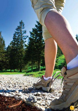 The Worms. А1/А2 Книга для чтения с доступом к интерактивному приложению